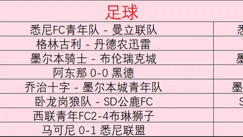 中美俱杯独家赛事解析：比分揭晓胜败细节全解析